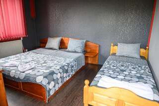 Гостевой дом Medi Guest House Сапарева-Баня Двухместный номер с двуспальной кроватью и дополнительной кроватью-4