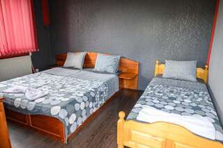 Гостевой дом Medi Guest House Сапарева-Баня Двухместный номер с двуспальной кроватью и дополнительной кроватью-6